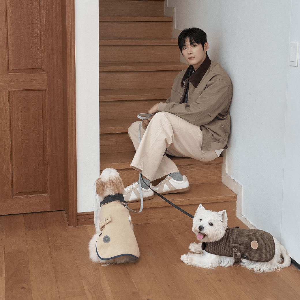 Signature wool 100 Classic Jacket (2color)