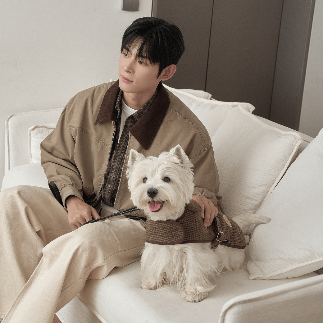 Signature wool 100 Classic Jacket (2color)