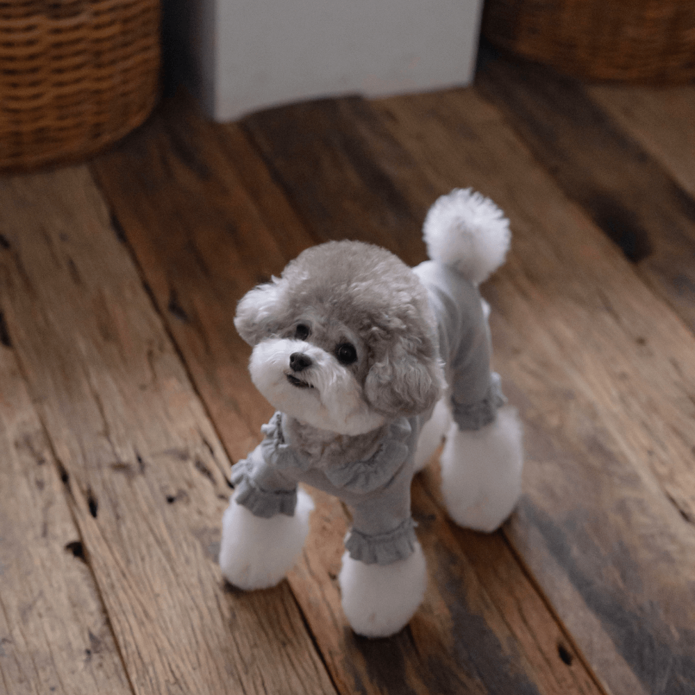 Plie Tu-Tu All in one（Mint）