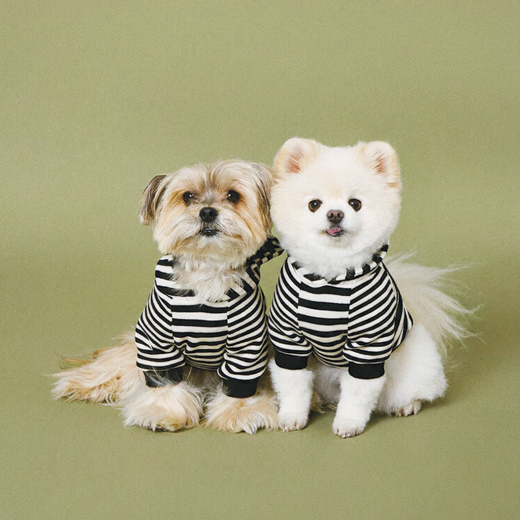 SCHOOL STRIPED HOODIE
