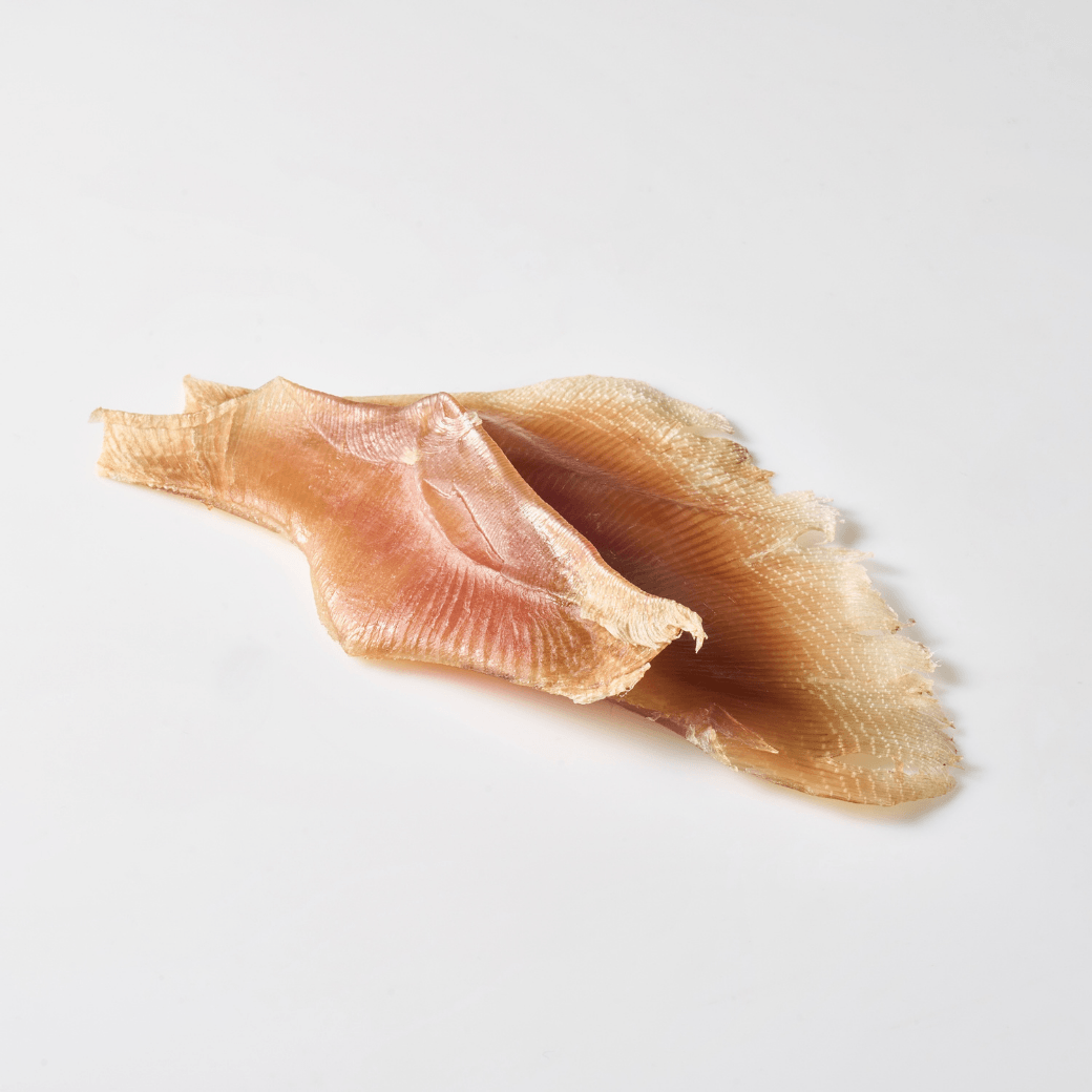 Semi-dried Ray｜エイ