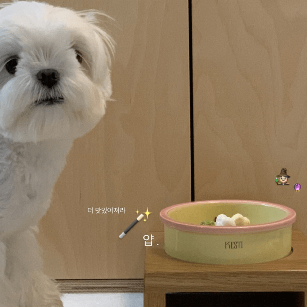 Line Bowl S (5color)