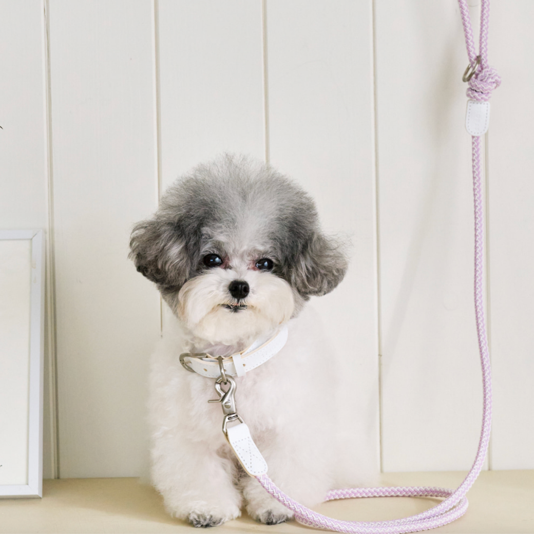 Rope Leash (Lilac)