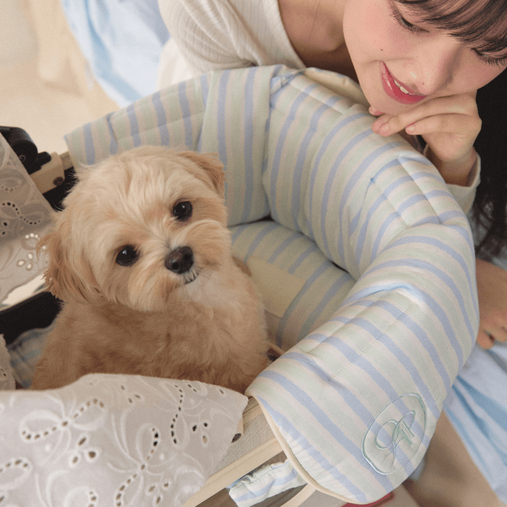 【予約】Fluffy Buggy Guard (Candy Stripe)