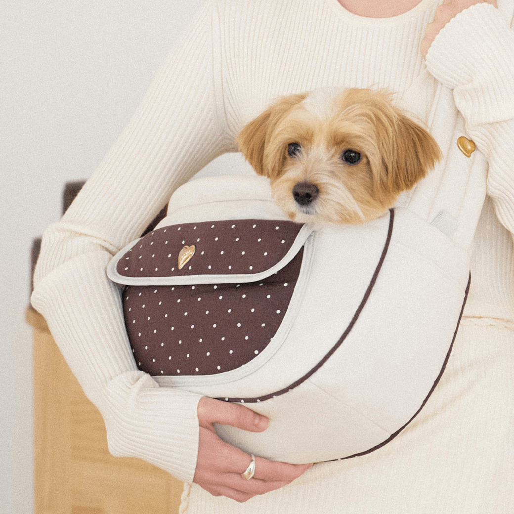 Dot Valentine Bag（Brown）