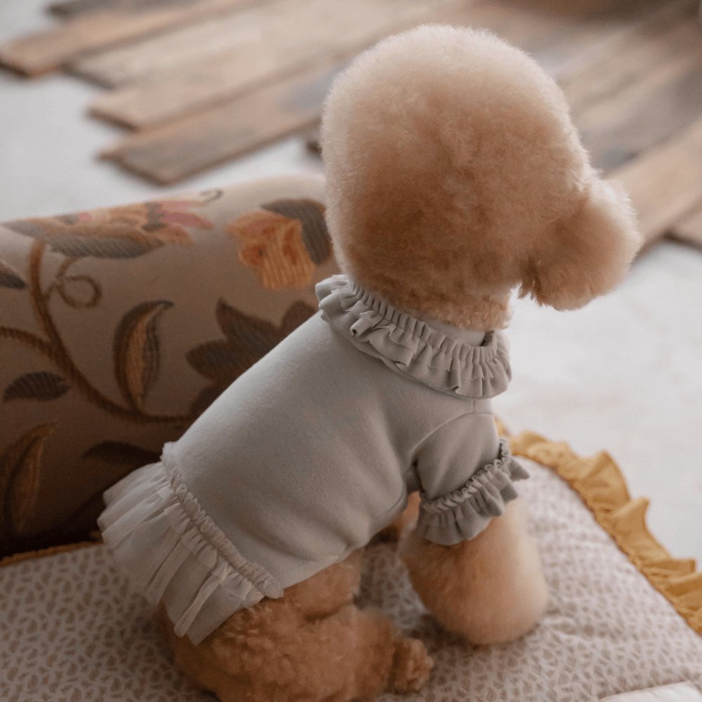 Plie Tu-Tu T-shirt（Mint）