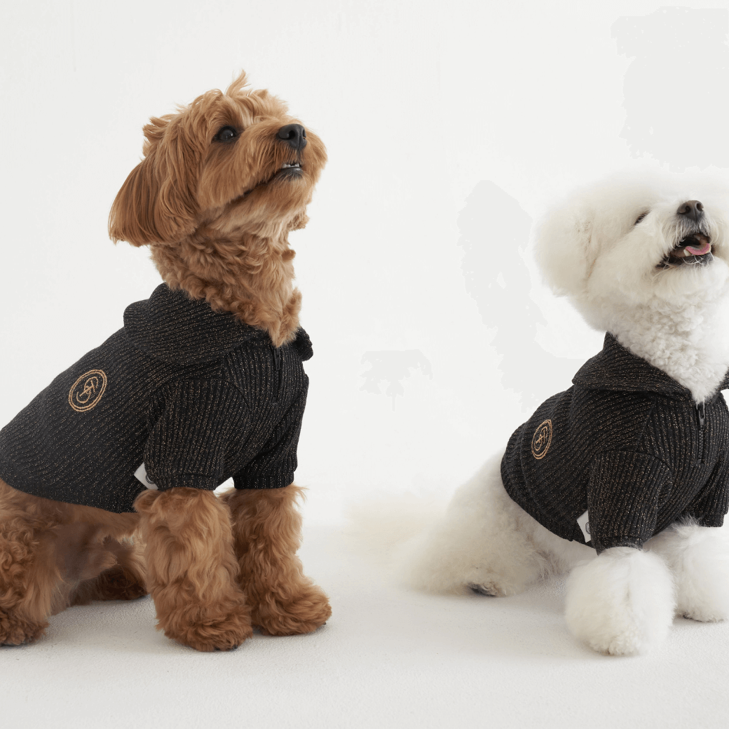 Twinkle Sailor Collar Knit (Jet Black)