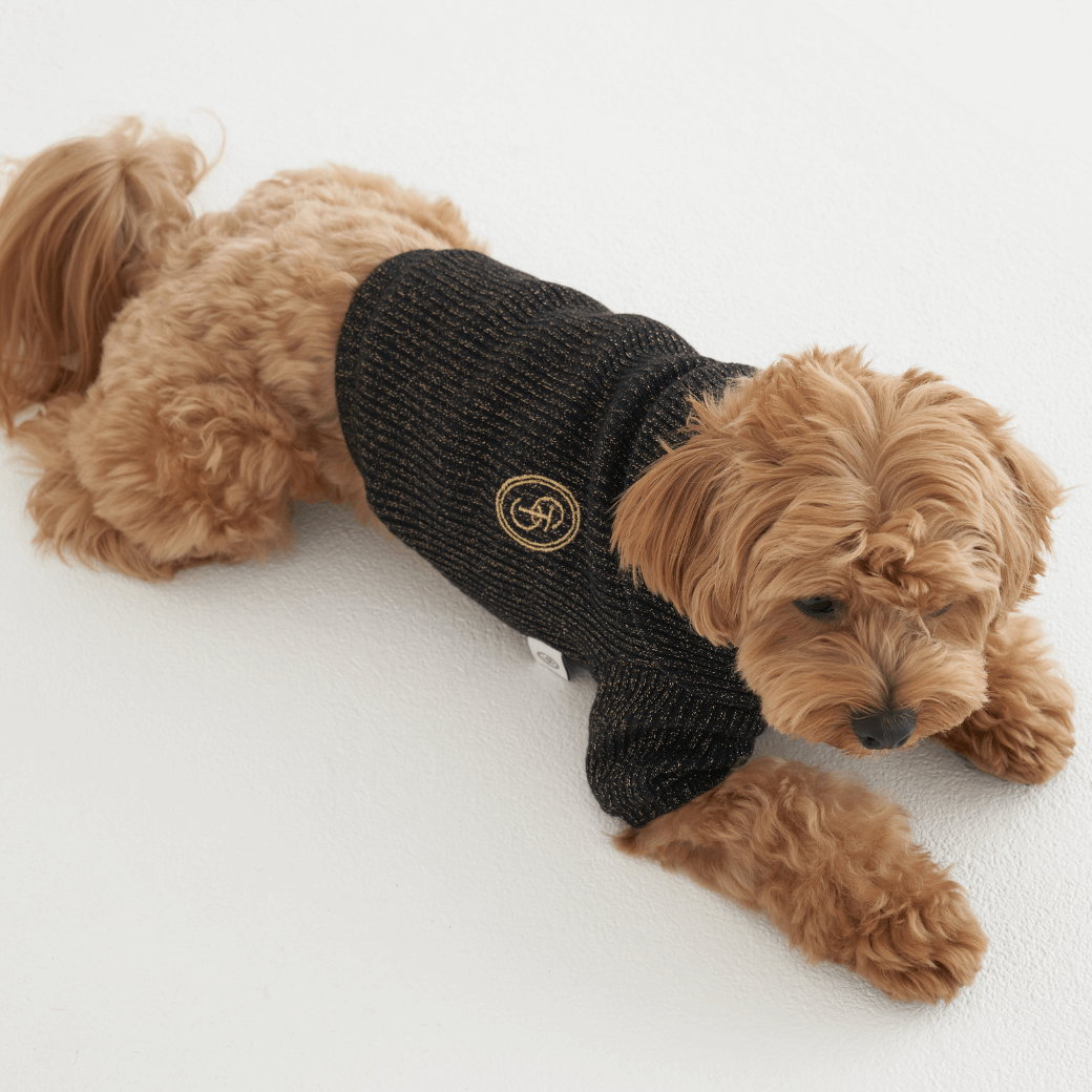 Twinkle Sailor Collar Knit (Jet Black)