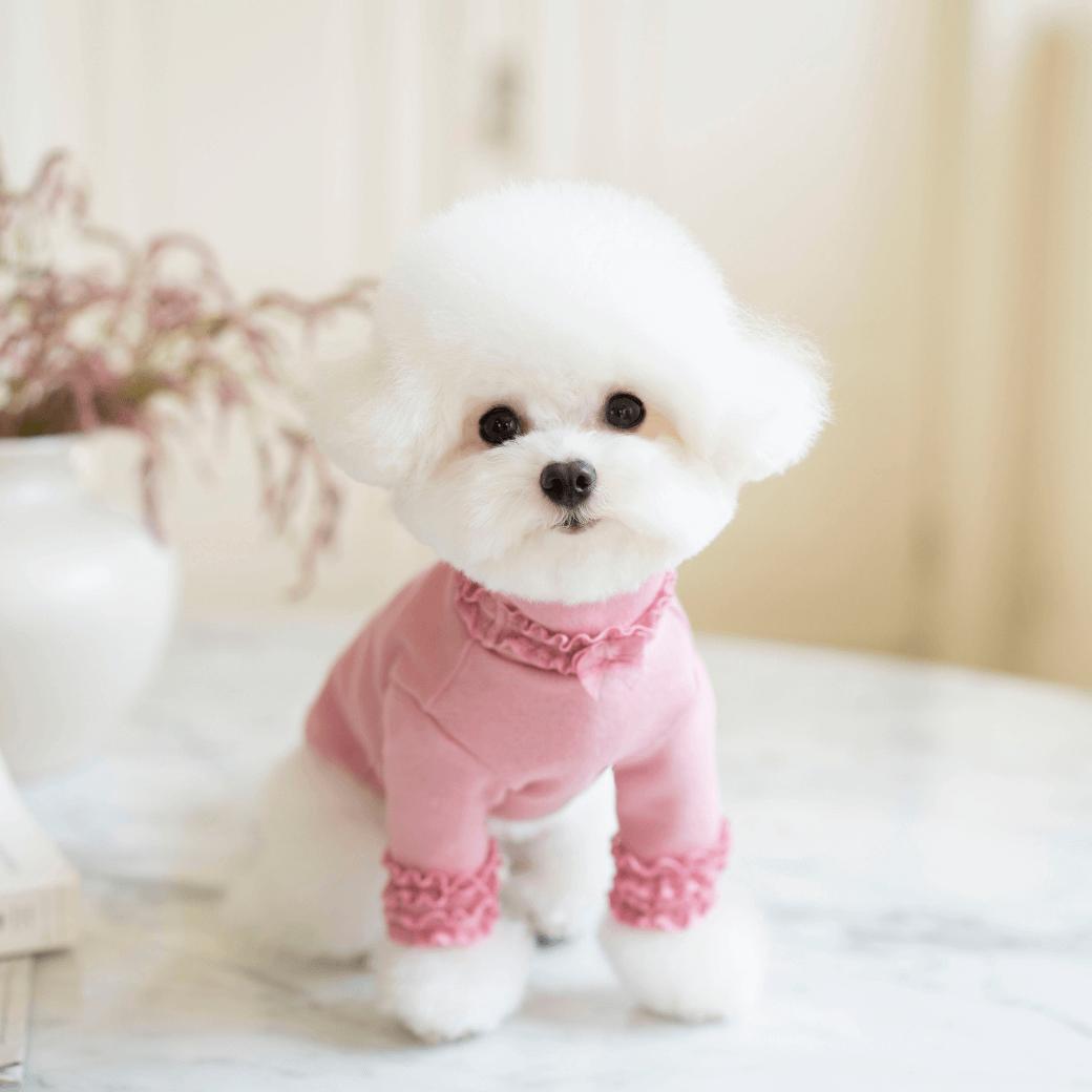 Lace Long Sleeve Turtleneck（Champagne Pink）