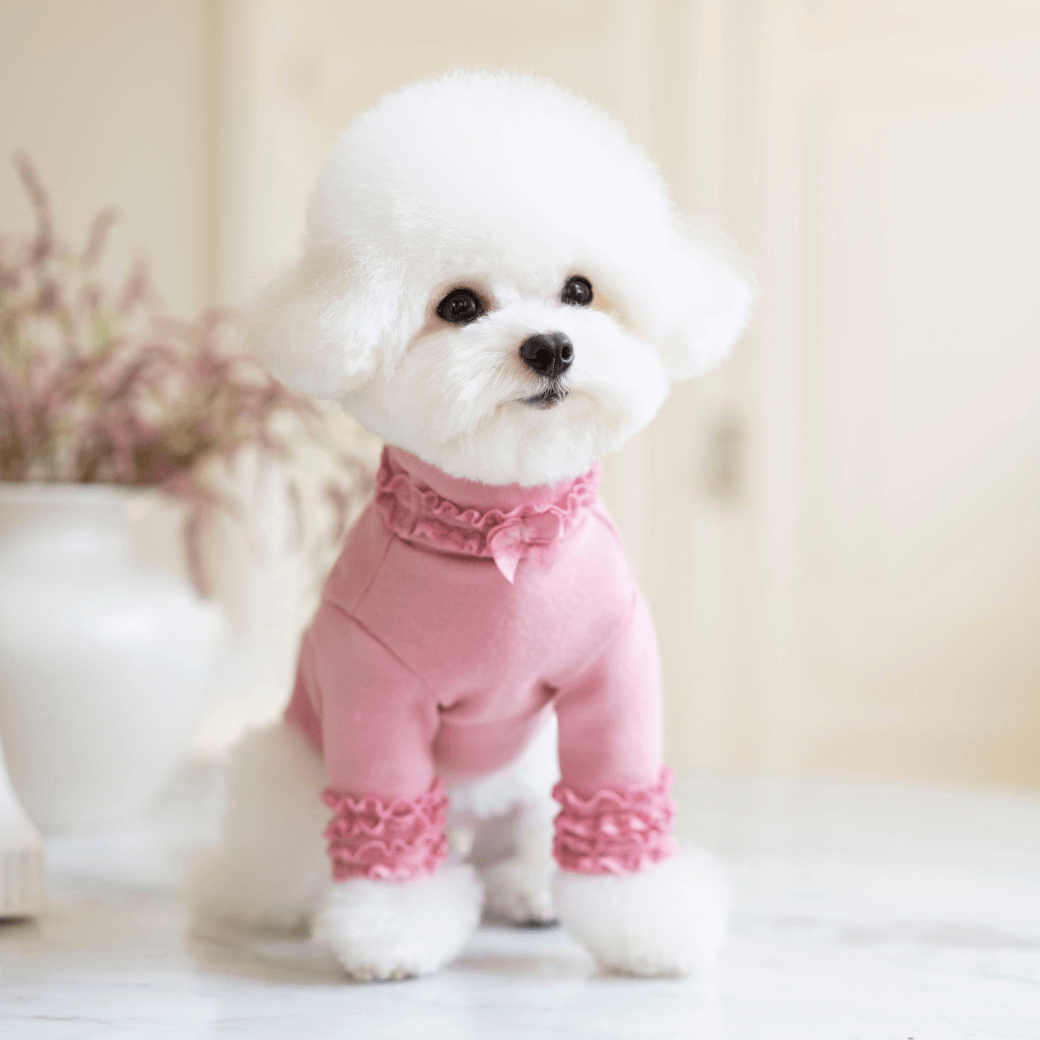 Lace Long Sleeve Turtleneck（Champagne Pink）