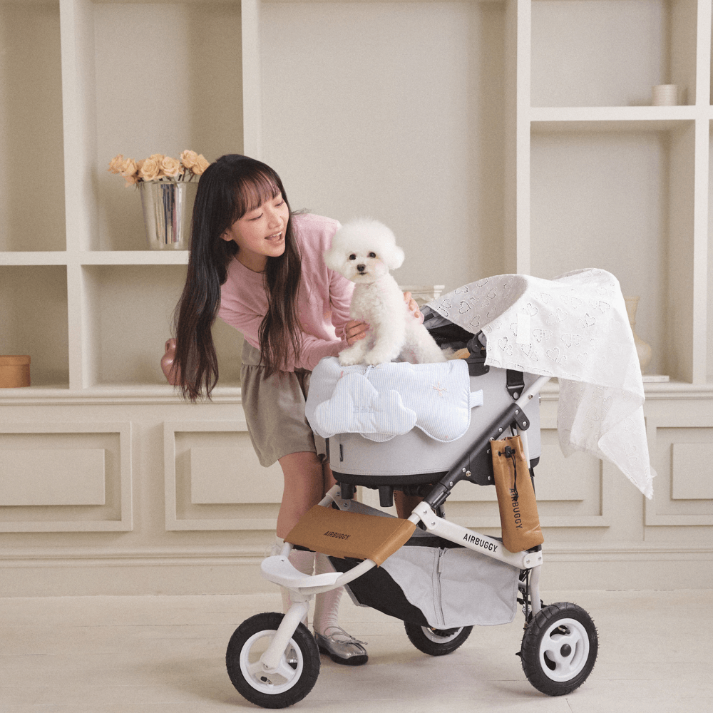 Fluffy Buggy Guard (Dream Sky)