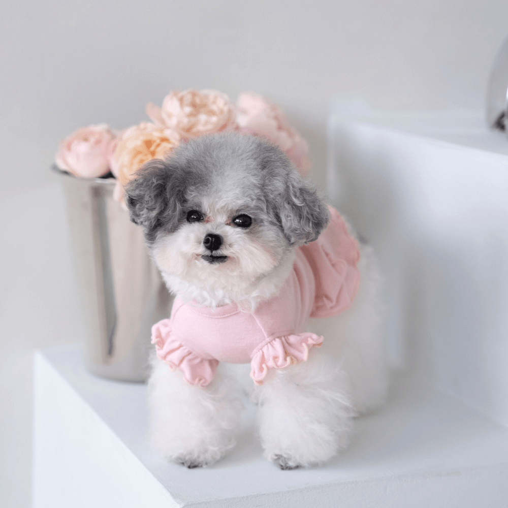 Flutter Dress（Powder Pink）
