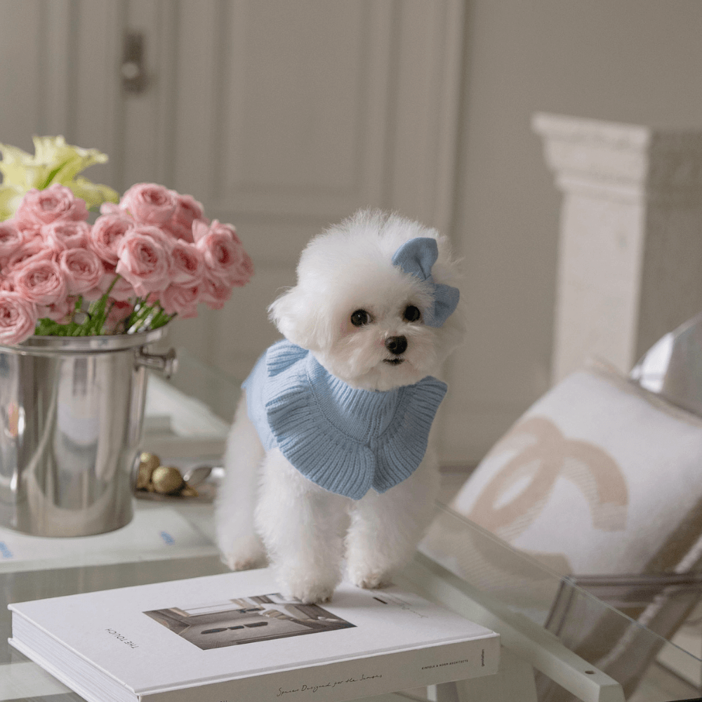 Frill Knit（Ciel Blue）