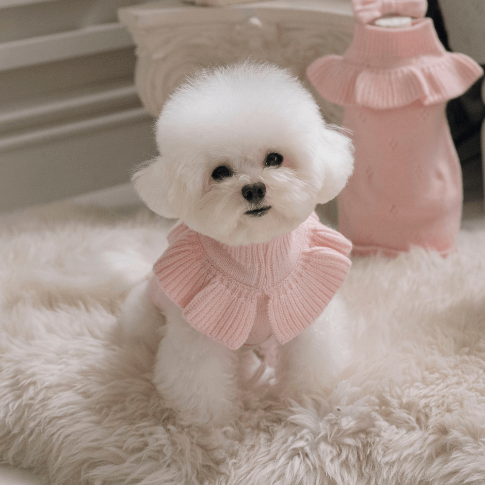 Frill Knit（Strawberry Pink）