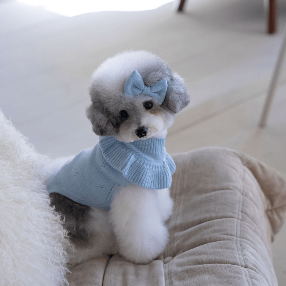 Frill Knit（Ciel Blue）