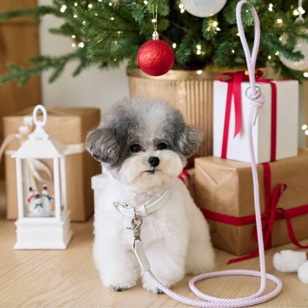 Rope Leash (Lilac)