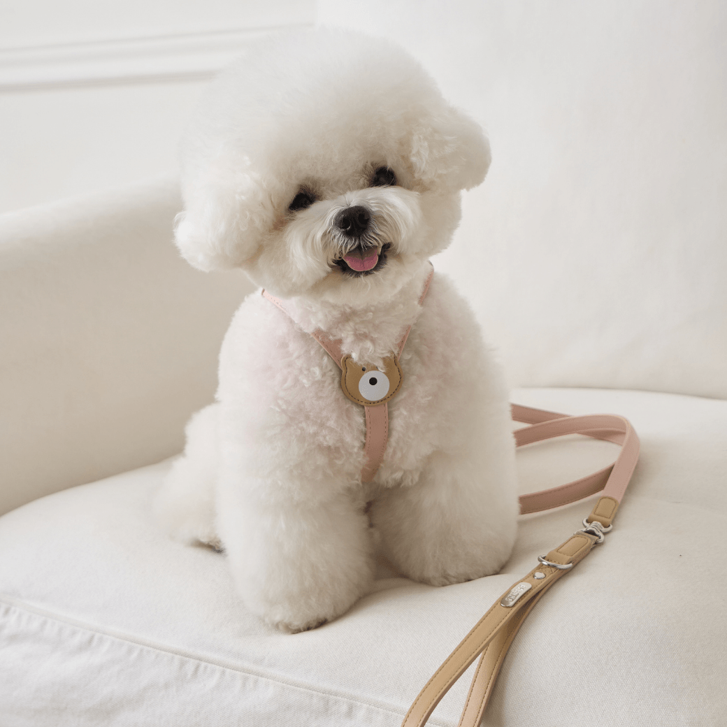 BEAR HARNESS（Indi Pink）