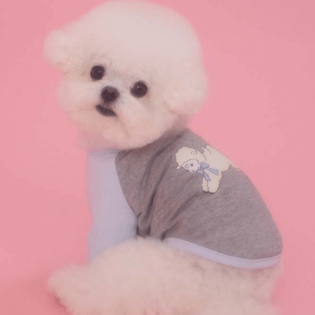 BELL RAGLAN TEE