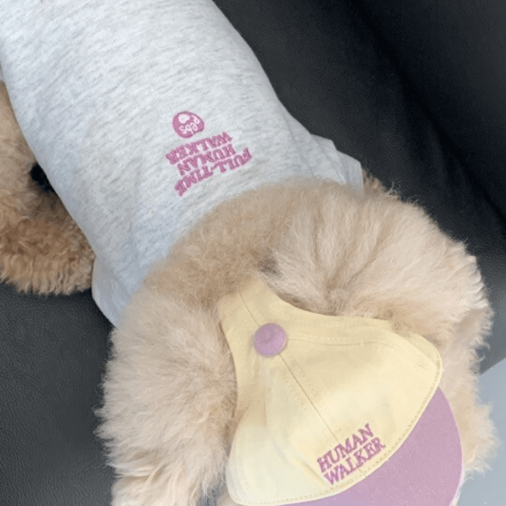 Dog Sweatshirt (Grey)