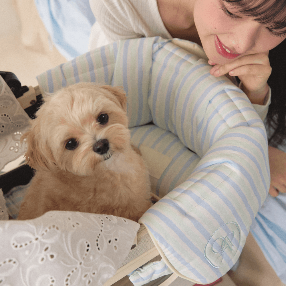 Fluffy Buggy Guard (Candy Stripe)
