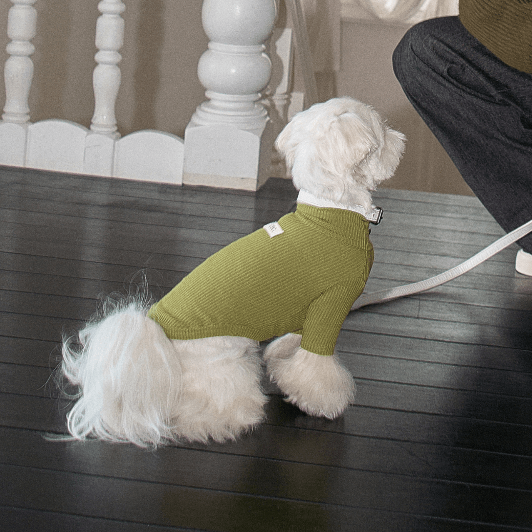 Organic Modal T-shirt (2color)