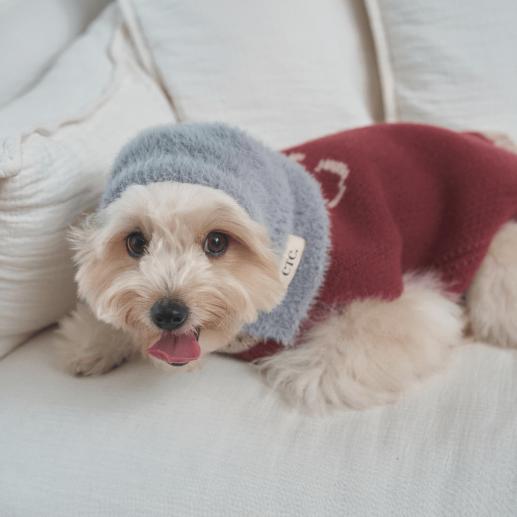 Winter Snuggle Balaclava Gray (for dog / for human)