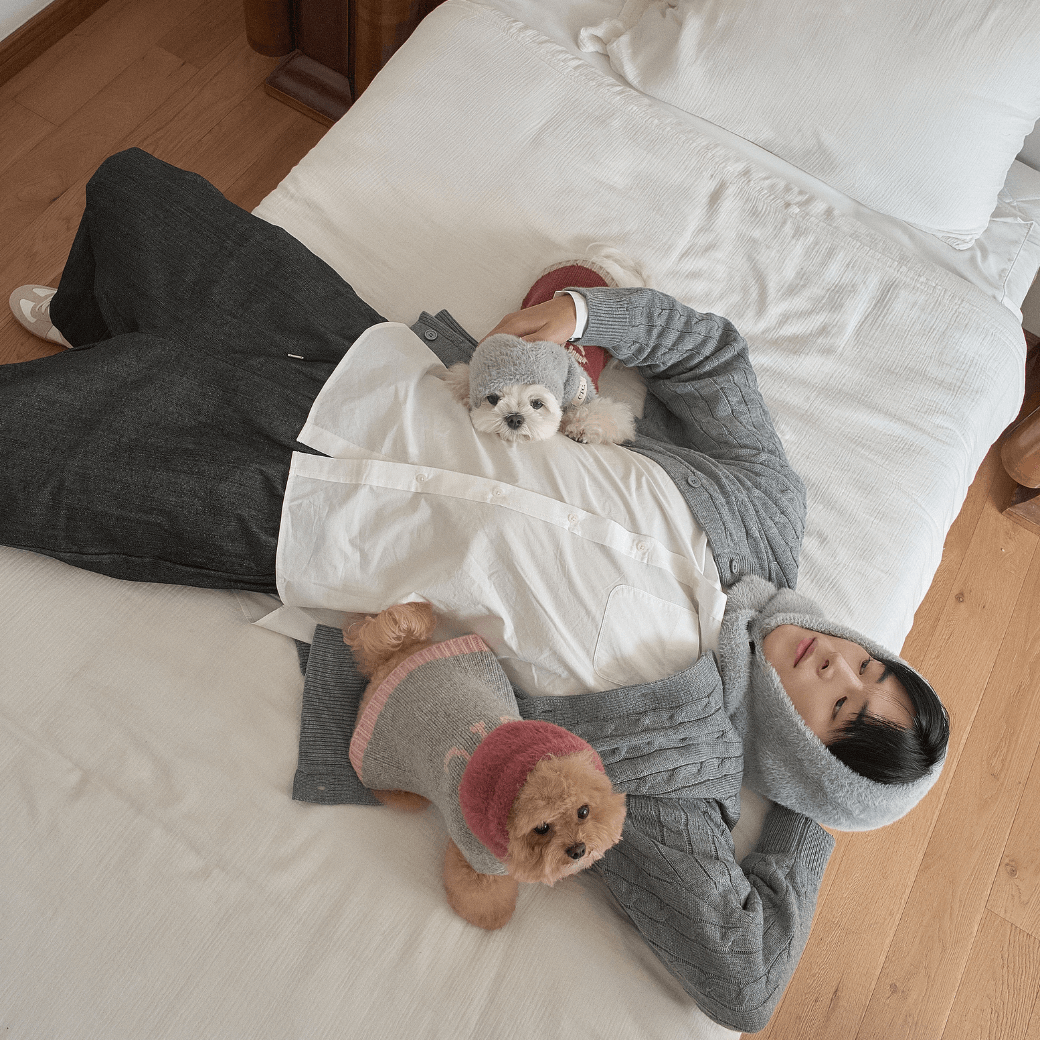 Winter Snuggle Balaclava Gray (for dog / for human)