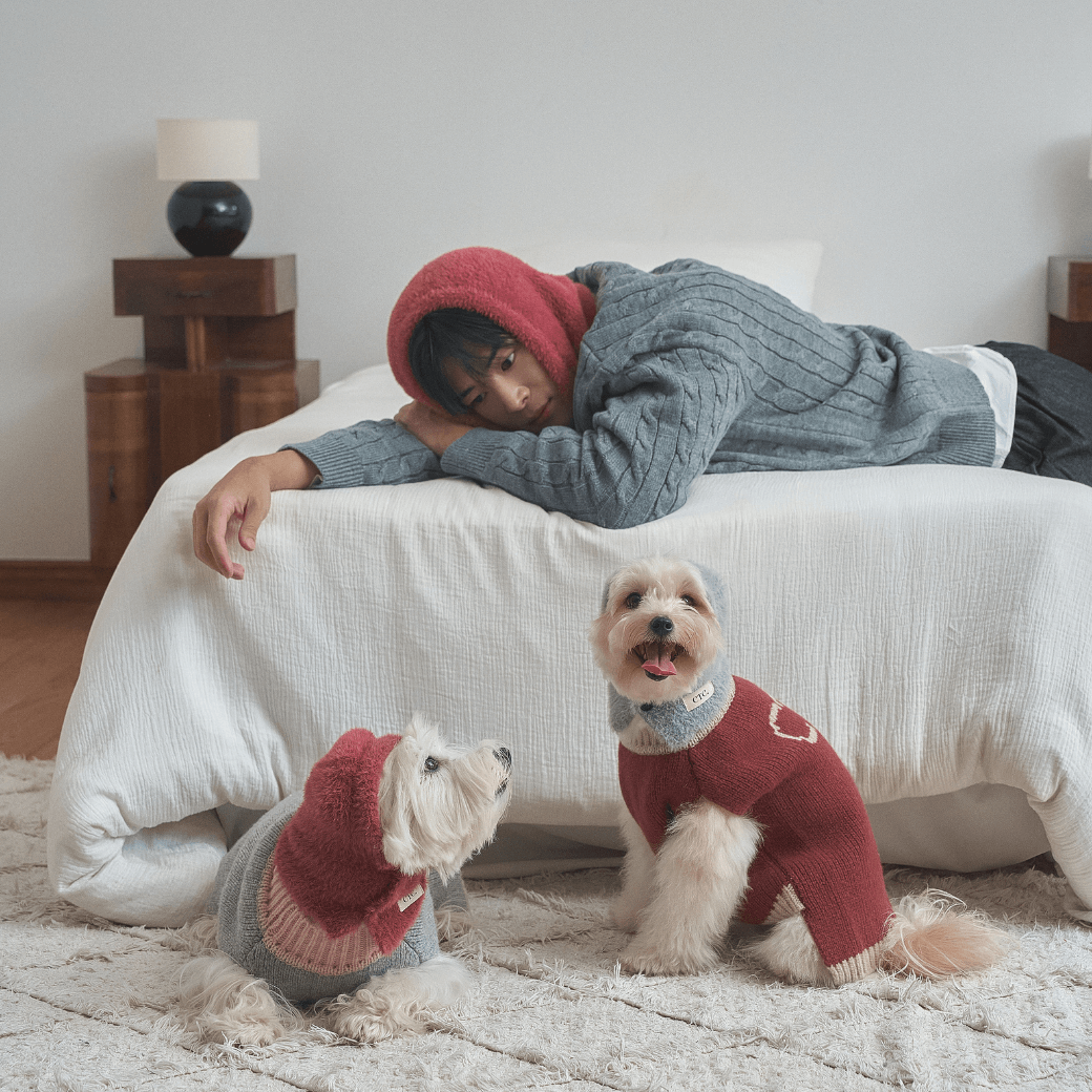 Winter Snuggle Balaclava Gray (for dog / for human)