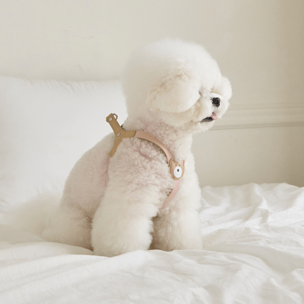 BEAR HARNESS（Indi Pink）