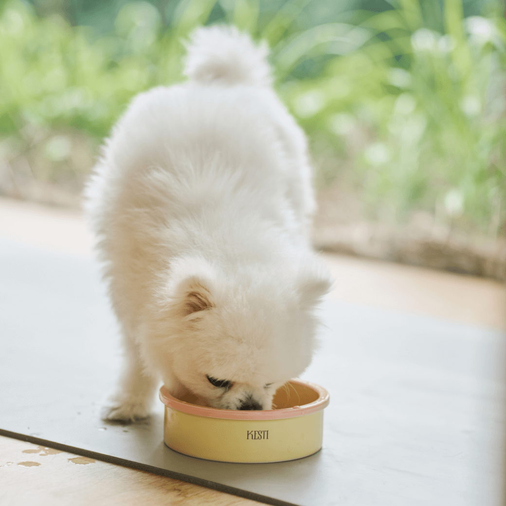 Line Bowl S (5color)