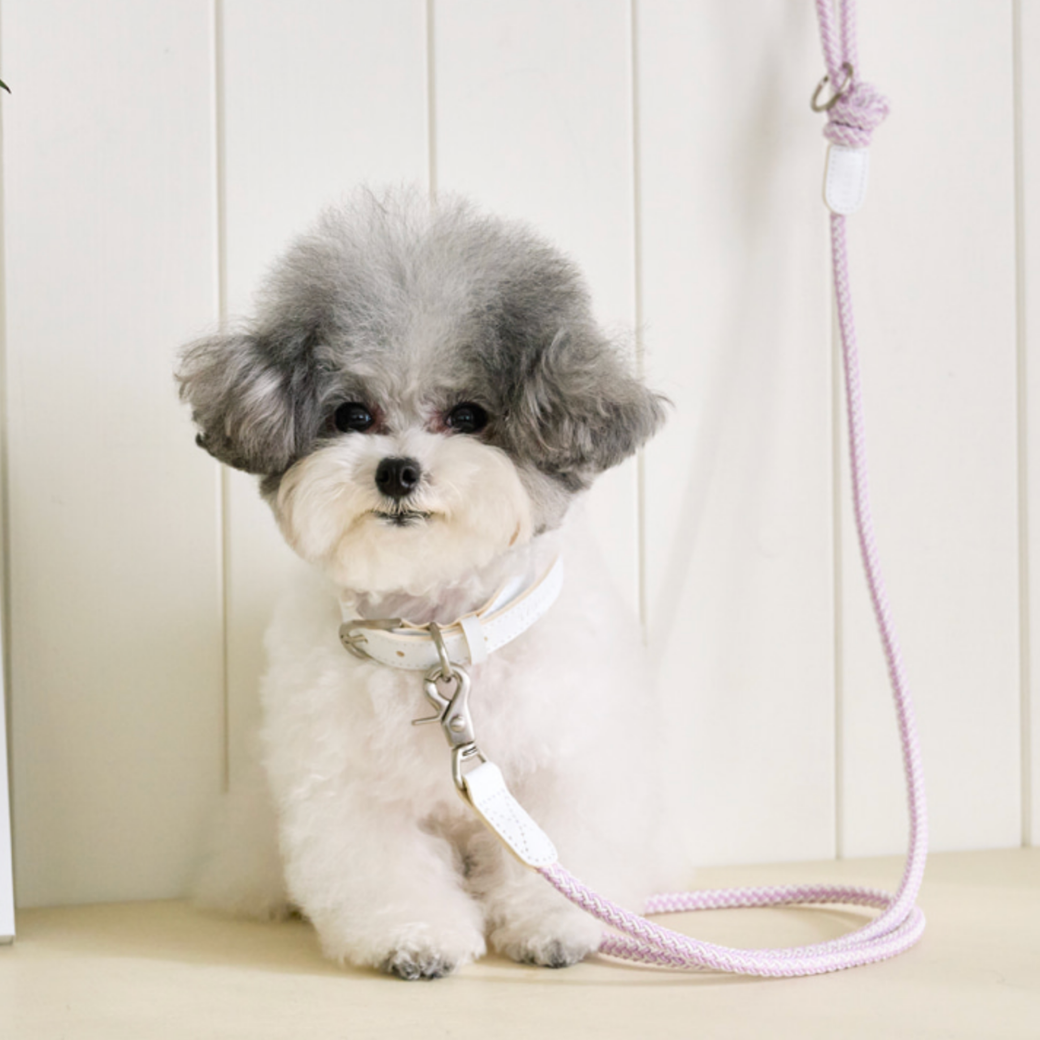 Rope Leash (Lilac)