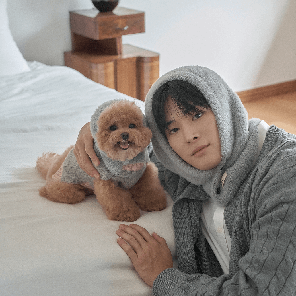 Winter Snuggle Balaclava Gray (for dog / for human)