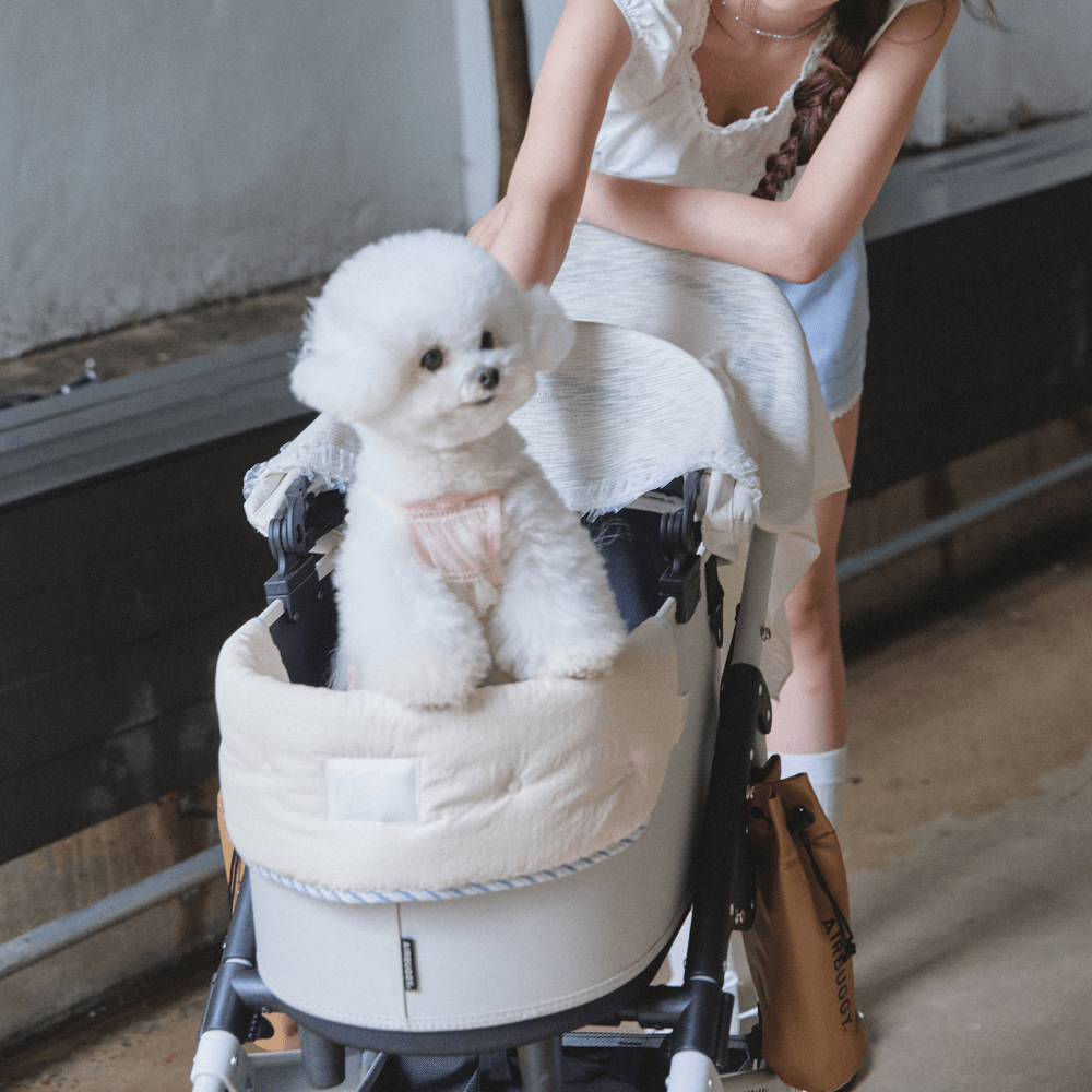 【予約】Solar Safe Buggy Puff (Ivory)