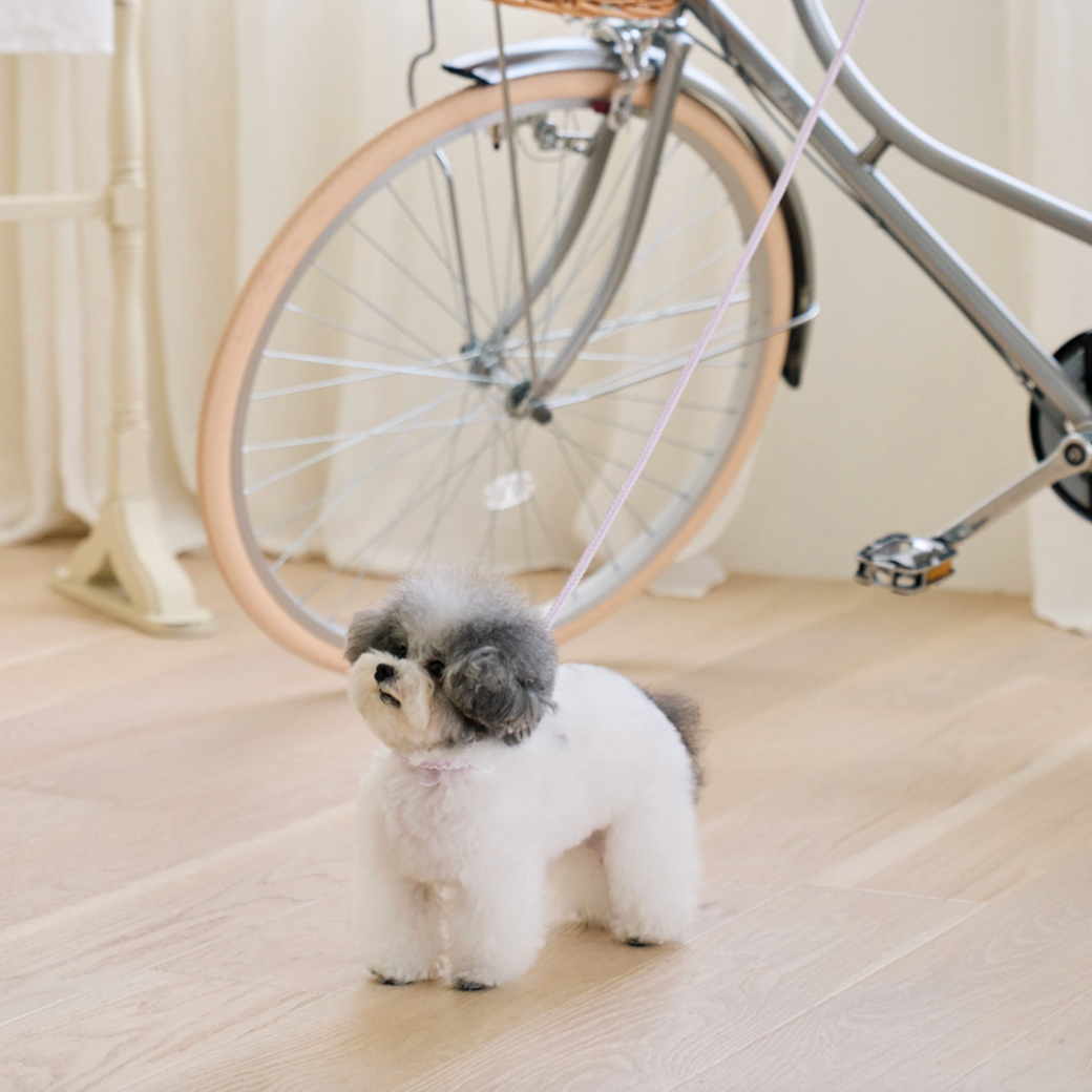 Rope Leash (Lilac)