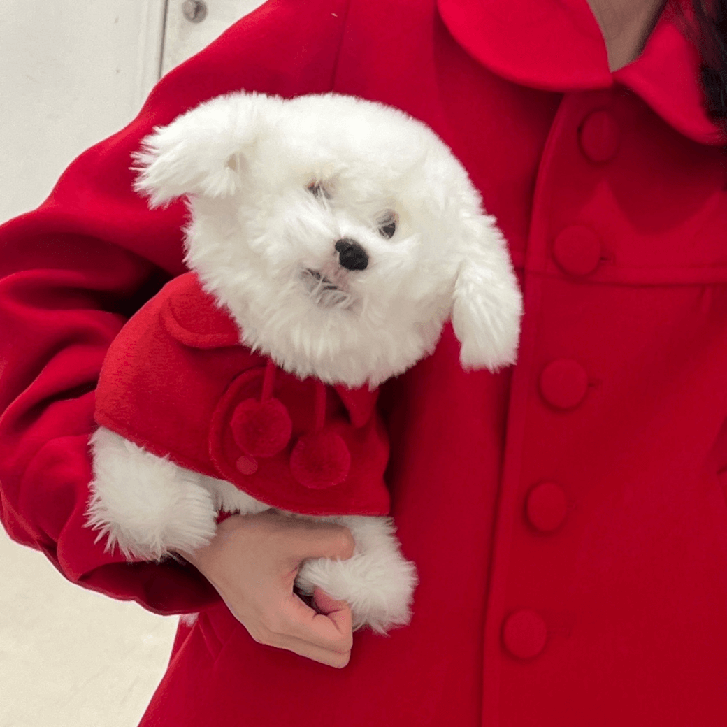 Reversible wool puppy pom-pom coat (Red)