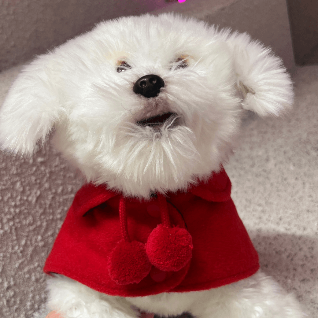 Reversible wool puppy pom-pom coat (Red)