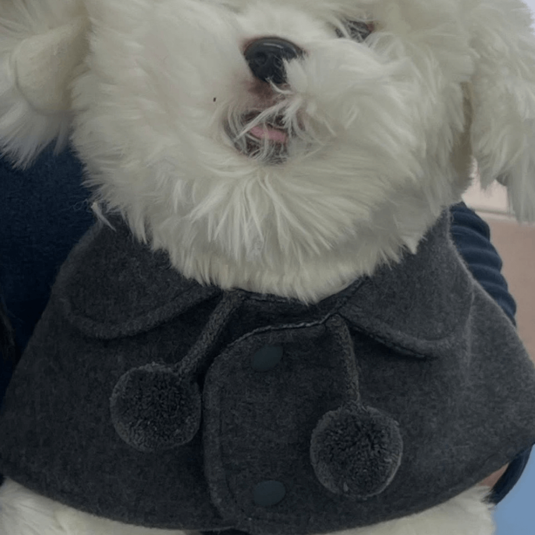 Reversible wool puppy pom-pom coat (Gray)