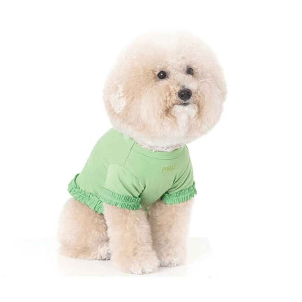 【予約】WARM FRILL-FRILL T(GREEN)