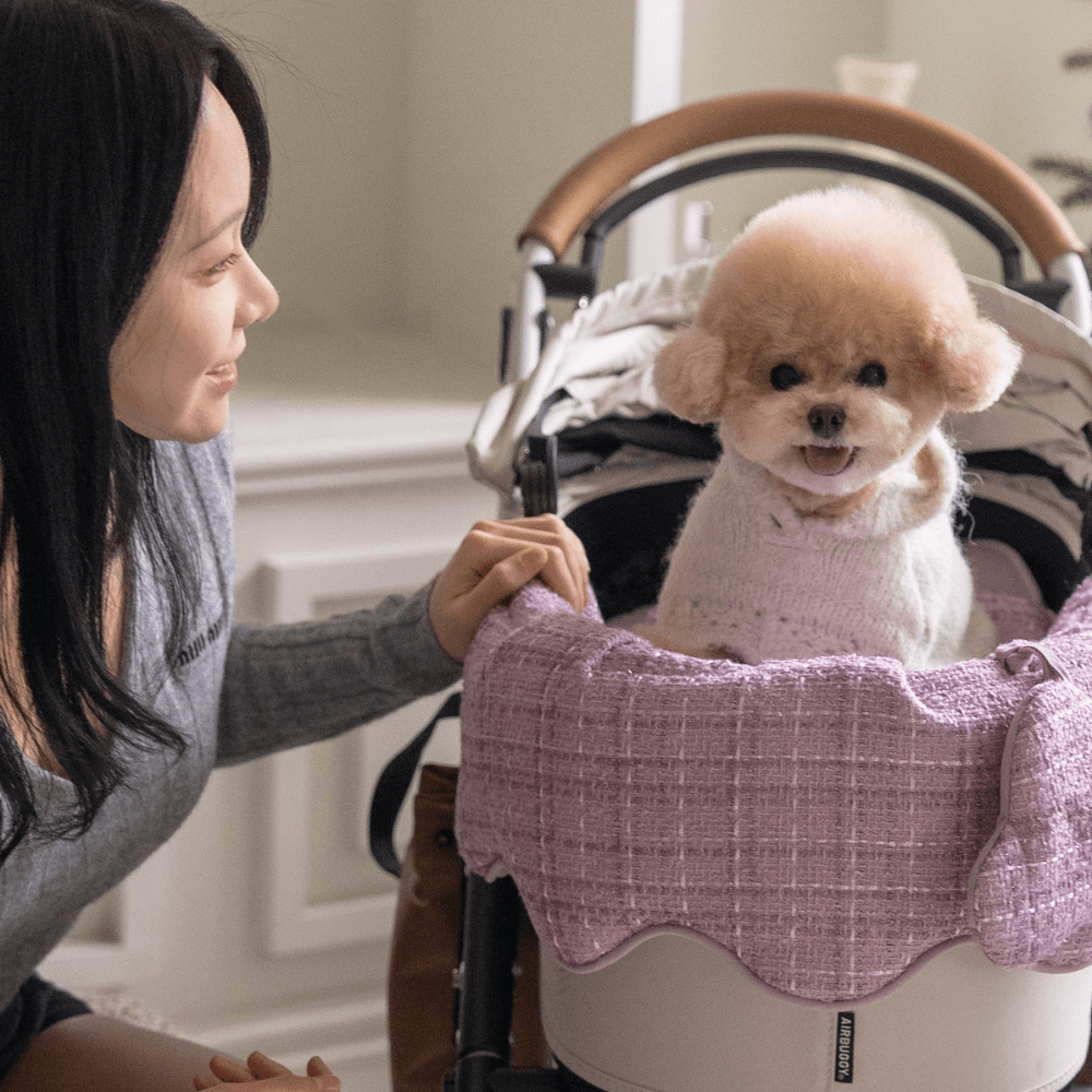 Tweed Buggy Guard (Purple)