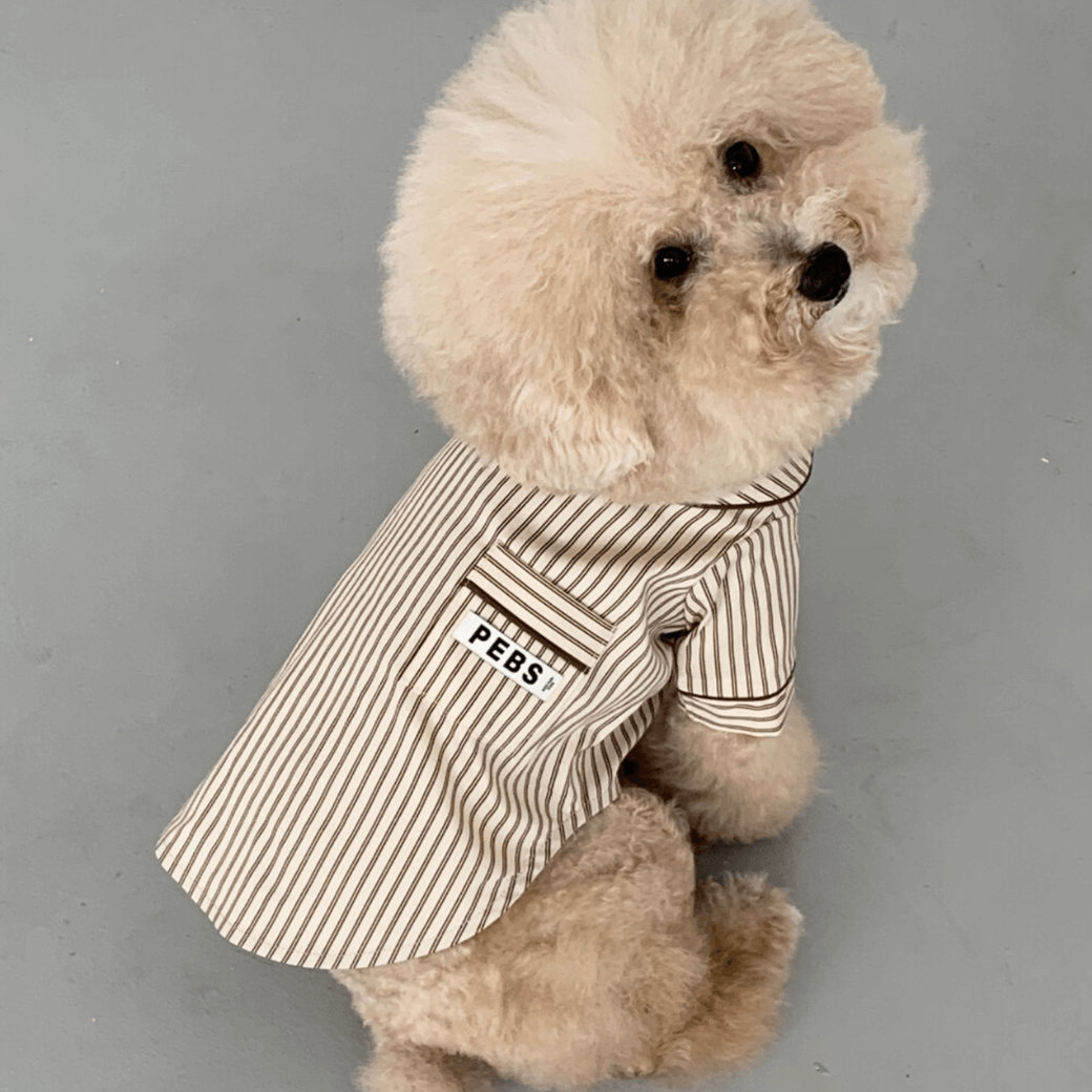 Dog Shirts (Brown)