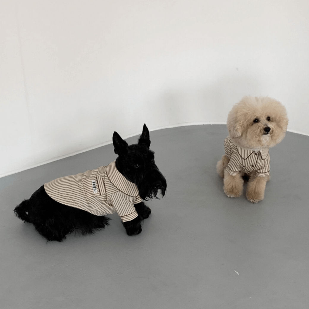 Dog Shirts (Brown)
