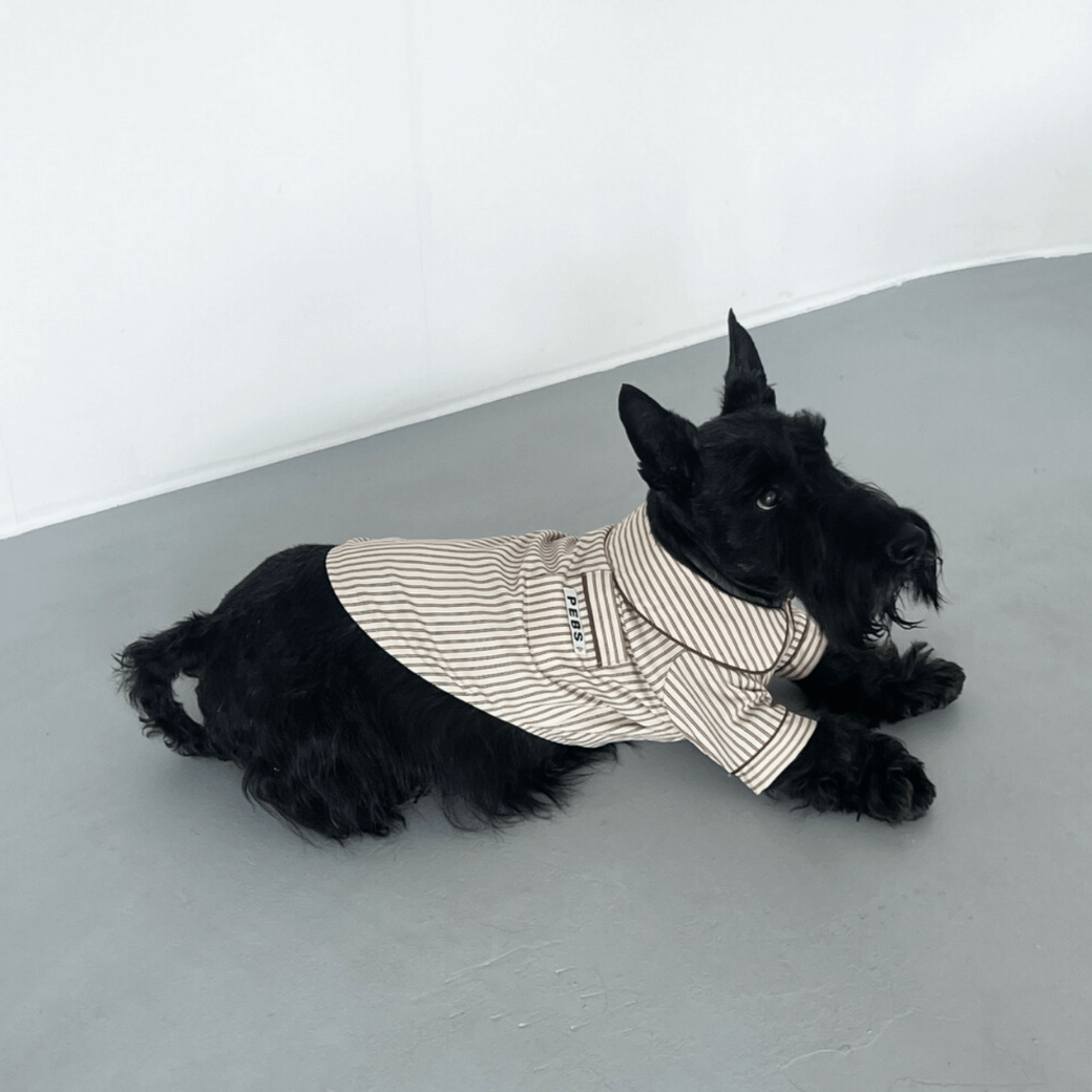 Dog Shirts (Brown)