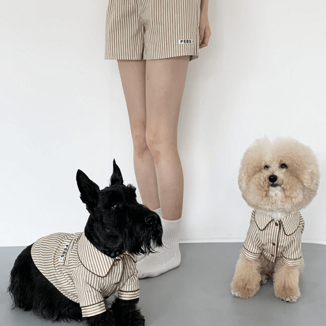 Dog Shirts (Brown)