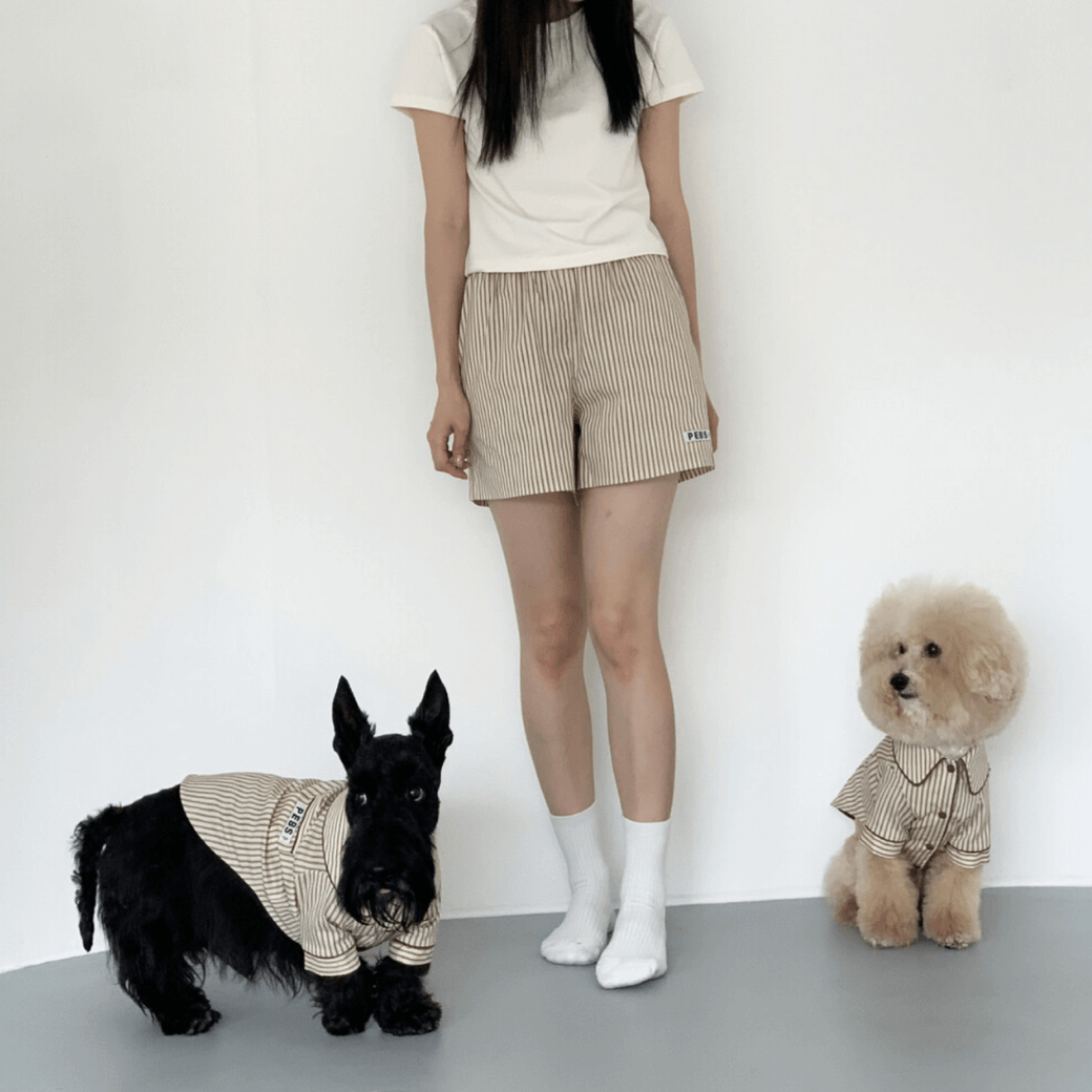 Dog Shirts (Brown)