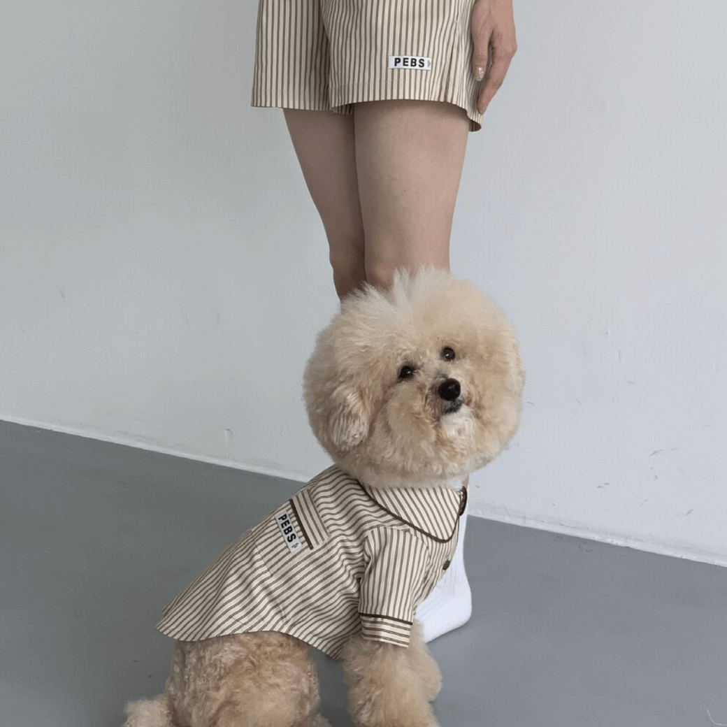 Dog Shirts (Brown)