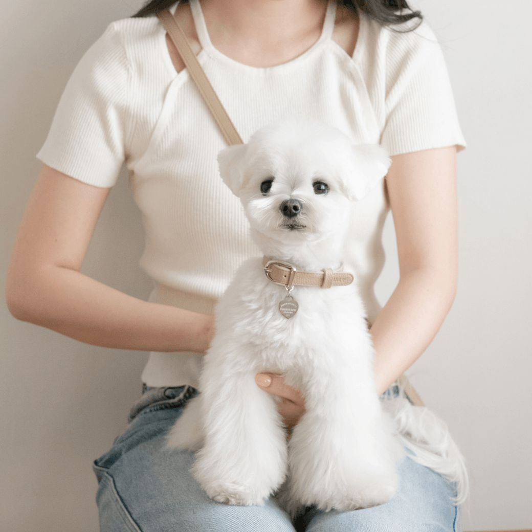 DELIGHT COLLAR（ベージュ）