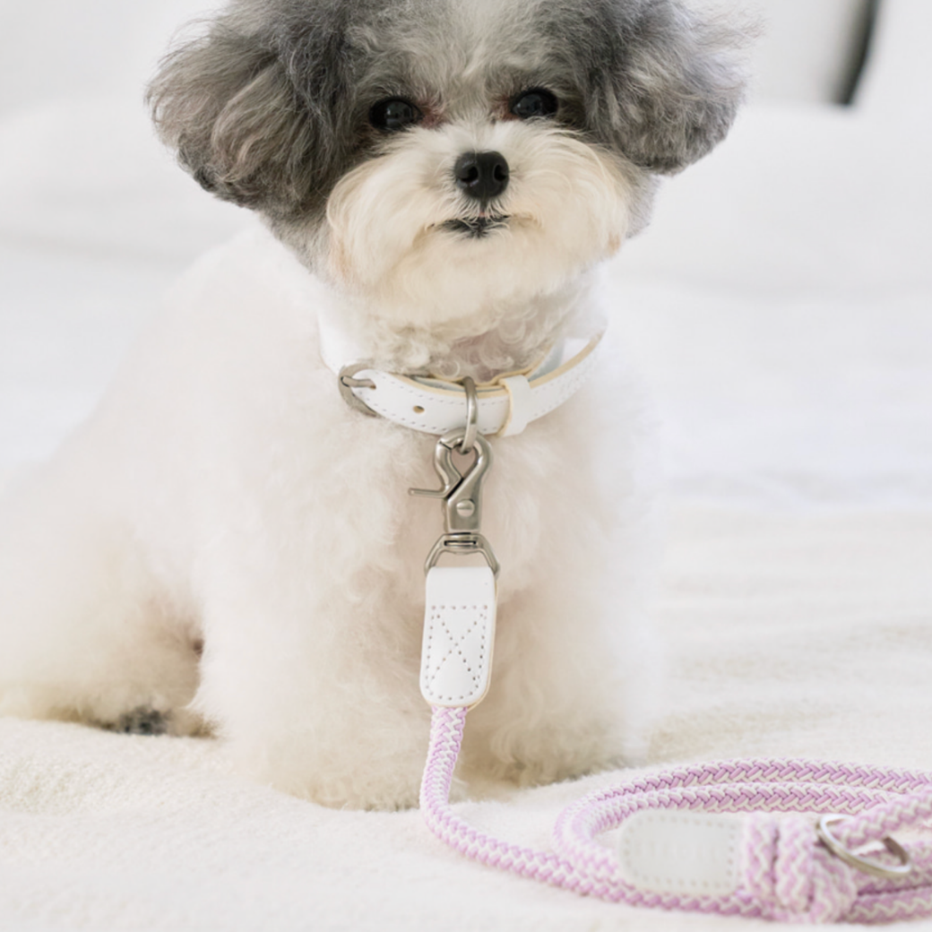 Rope Leash (Lilac)