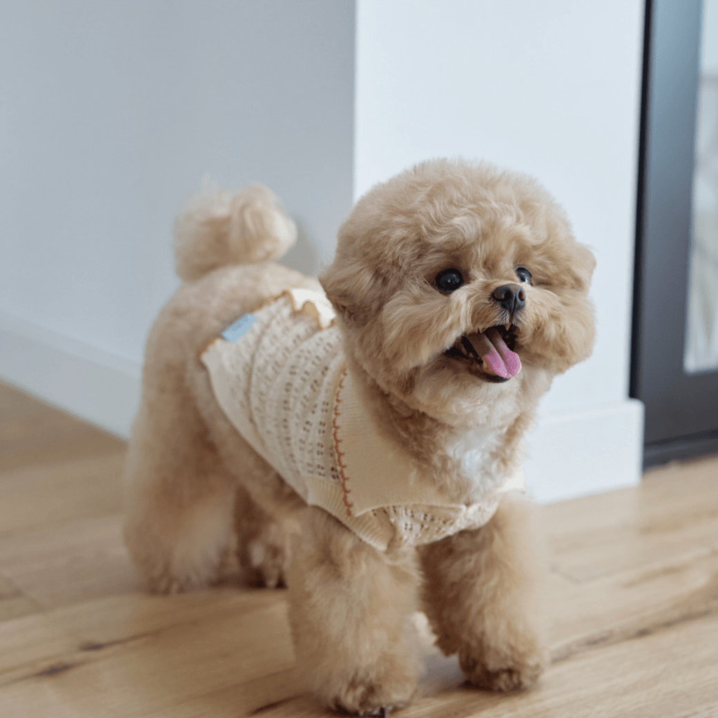 G.G. 犬服 クリーム色 リブ編み Cool Air Crochet Knit（3color）