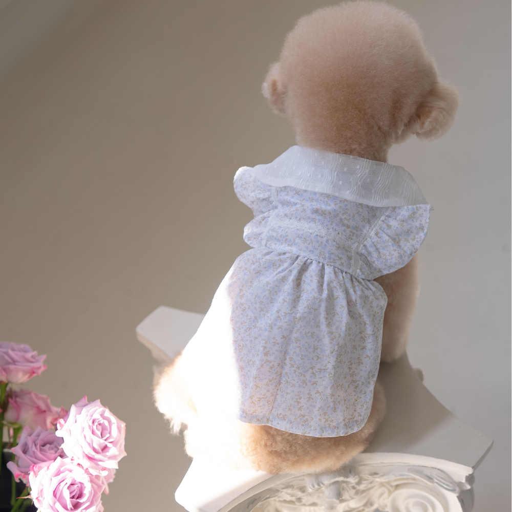 New Greenery Dress (Blue)