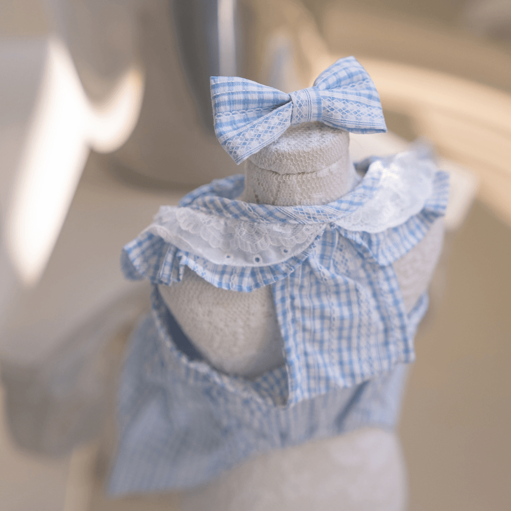 Sunkist Dress（Blue）